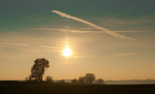 copyright burkhard heise